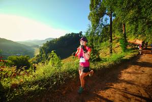 BIB: 
                            <button type="button" onclick="openModal(19170100)" class="btn btn-primary btn-sm float-right btn-popup" data-toggle="modal" data-target=".modal-high-quality">
                        <i class="fas fa-shopping-cart"></i> Add to Cart
                    </button>
                                            <button type="button" onclick="isThisMe(19170100, true)" class="btn btn-success btn-sm float-right btn-popup btn-isme hidden" data-toggle="tooltip" data-placement="bottom" title="นี่คือรูปของคุณใช่ไหม คลิกที่นี่เพื่อเอาเข้าอัลบั้ม">
                        <i class="fas fa-plus"></i> Add to album
                    </button>
                    <button type="button" onclick="isThisMe(19170100, false)" class="btn btn-warning btn-sm float-right btn-popup btn-isnotme hidden">
                        <i class="fas fa-ban"></i> Remove from album
                    </button>